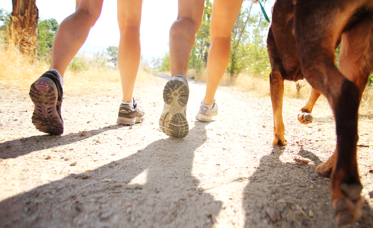 Výhody rychlé chůze