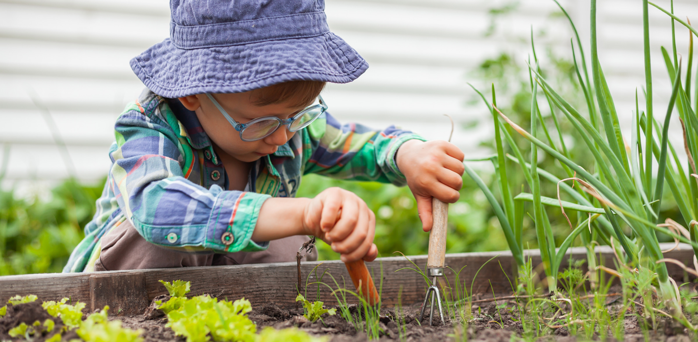 Obrázek: zahrada bez jedovatých rostlin pro děti