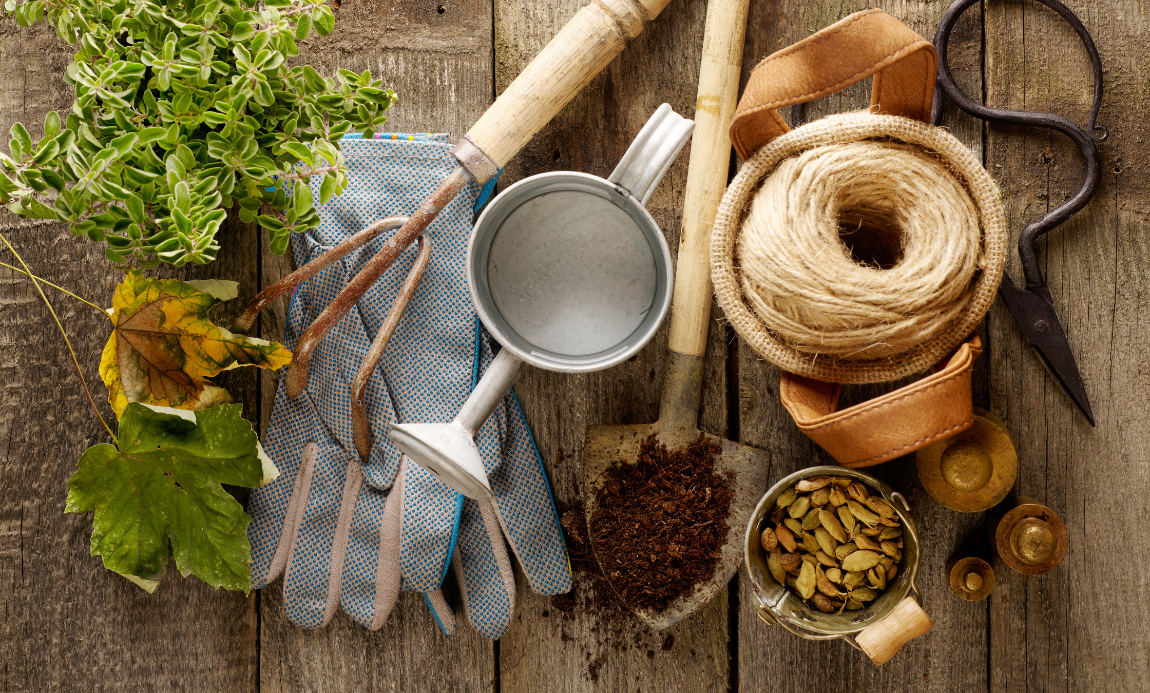 Obrázek: podzimni-priprava-zahrady